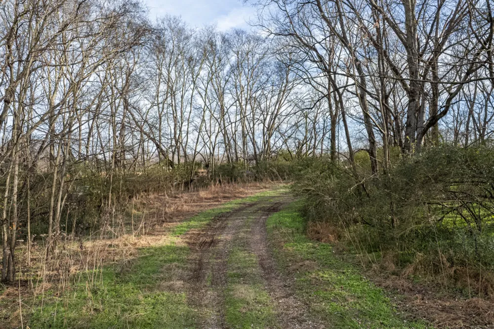 815 S Cross Bridges Rd Mount Pleasant, TN 38474