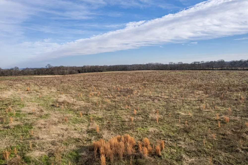 815 S Cross Bridges Rd Mount Pleasant, TN 38474