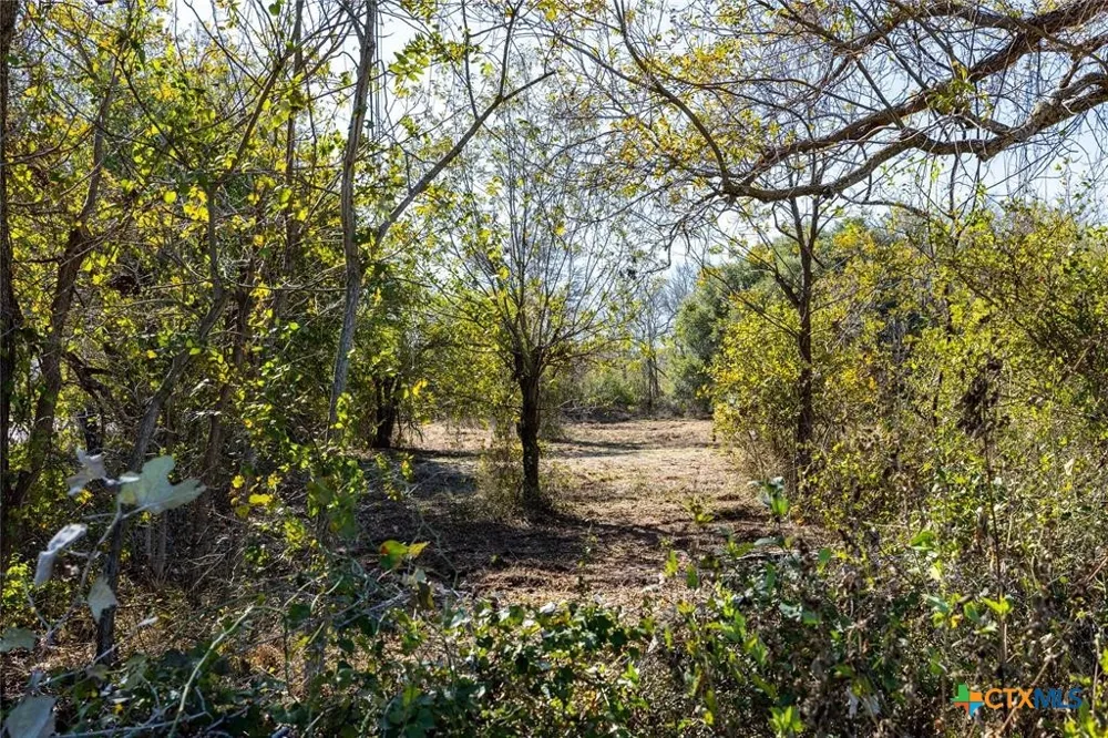6635 S Highway 183 Lockhart, TX 78640