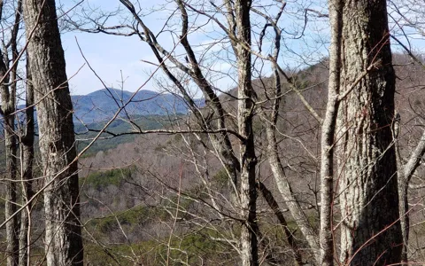 LT 28A Sassafras Ridge Road