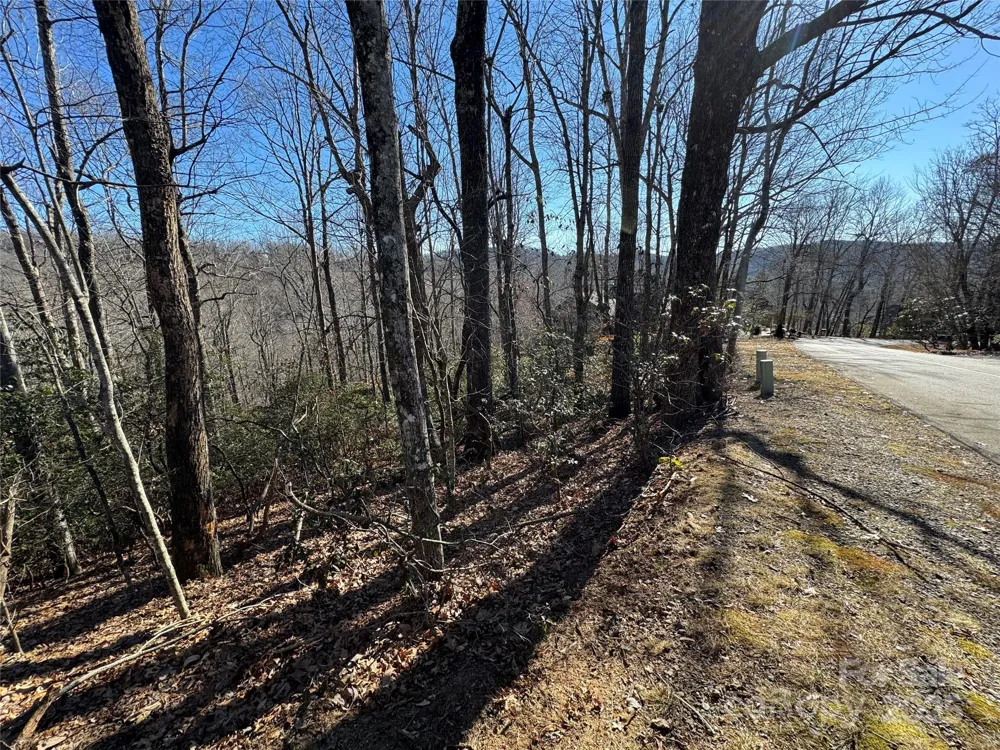 Lot 19 Udoque Court Brevard, NC 28712
