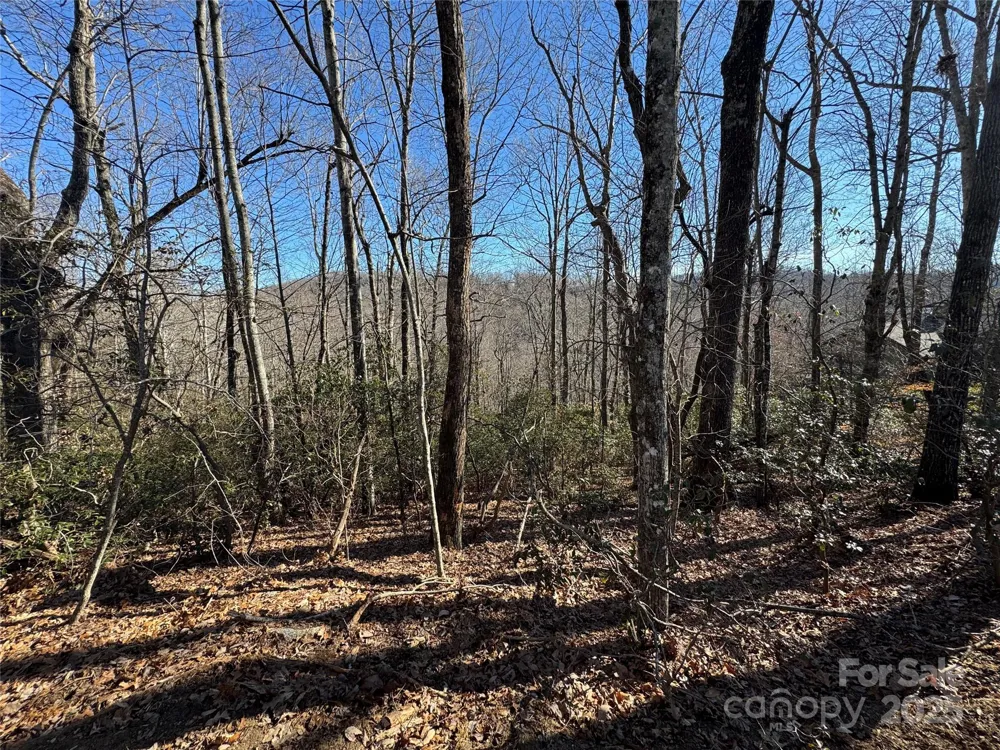 Lot 19 Udoque Court Brevard, NC 28712
