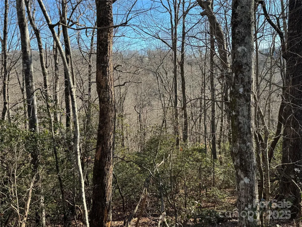 Lot 19 Udoque Court Brevard, NC 28712