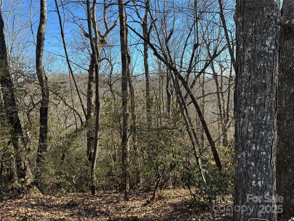 Lot 19 Udoque Court Brevard, NC 28712