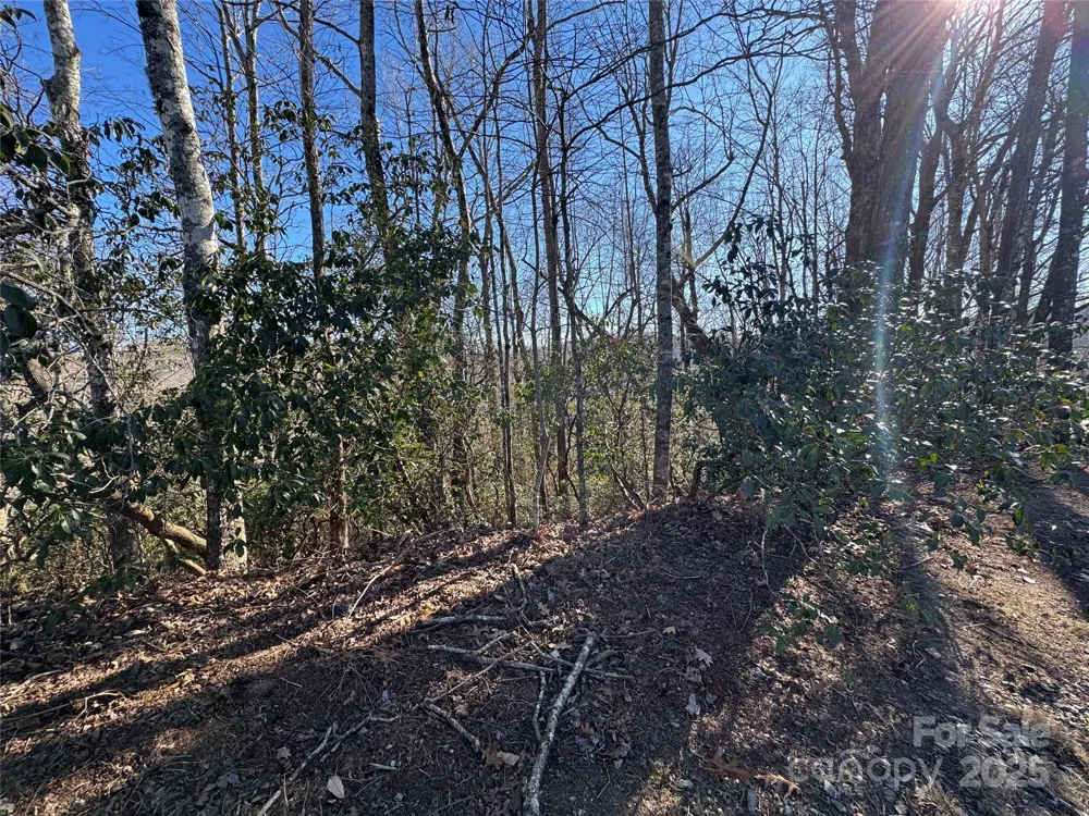 Lot 19 Udoque Court Brevard, NC 28712