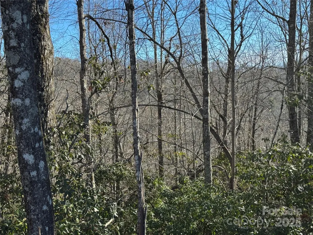 Lot 19 Udoque Court Brevard, NC 28712