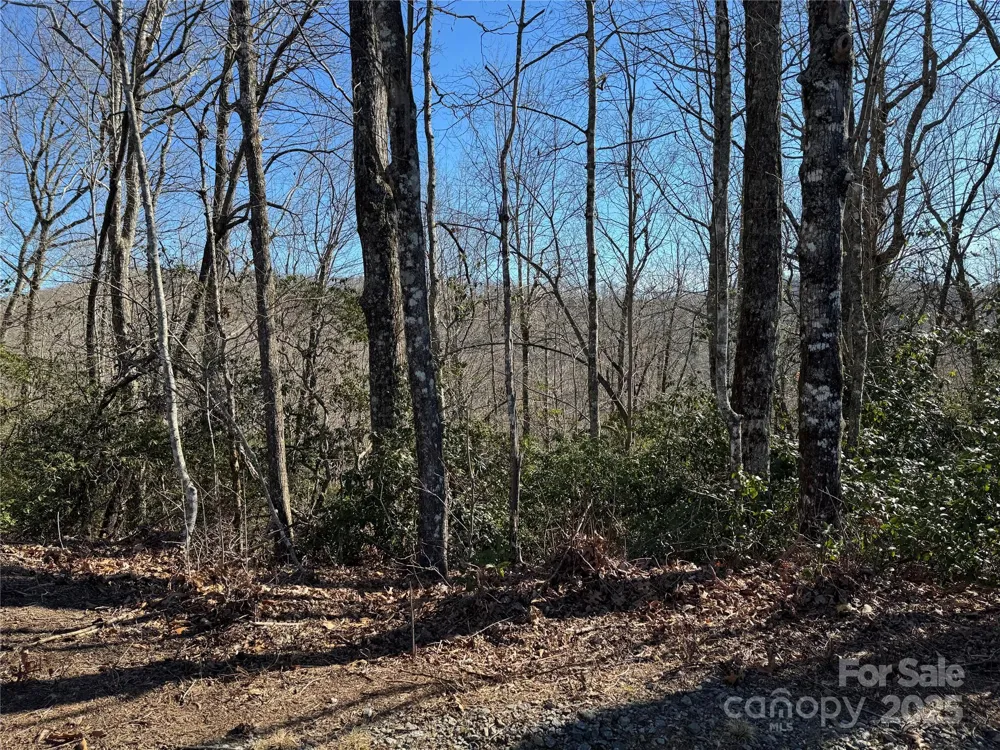 Lot 19 Udoque Court Brevard, NC 28712