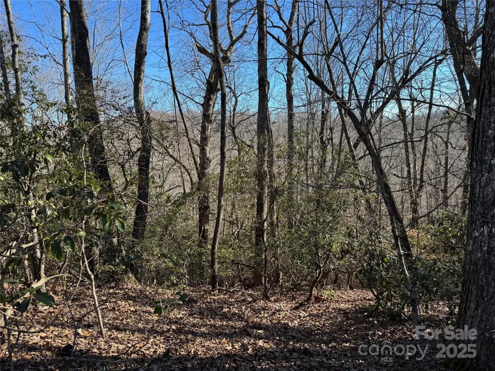 Lot 19 Udoque Court Brevard, NC 28712