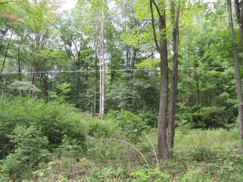Duby Road