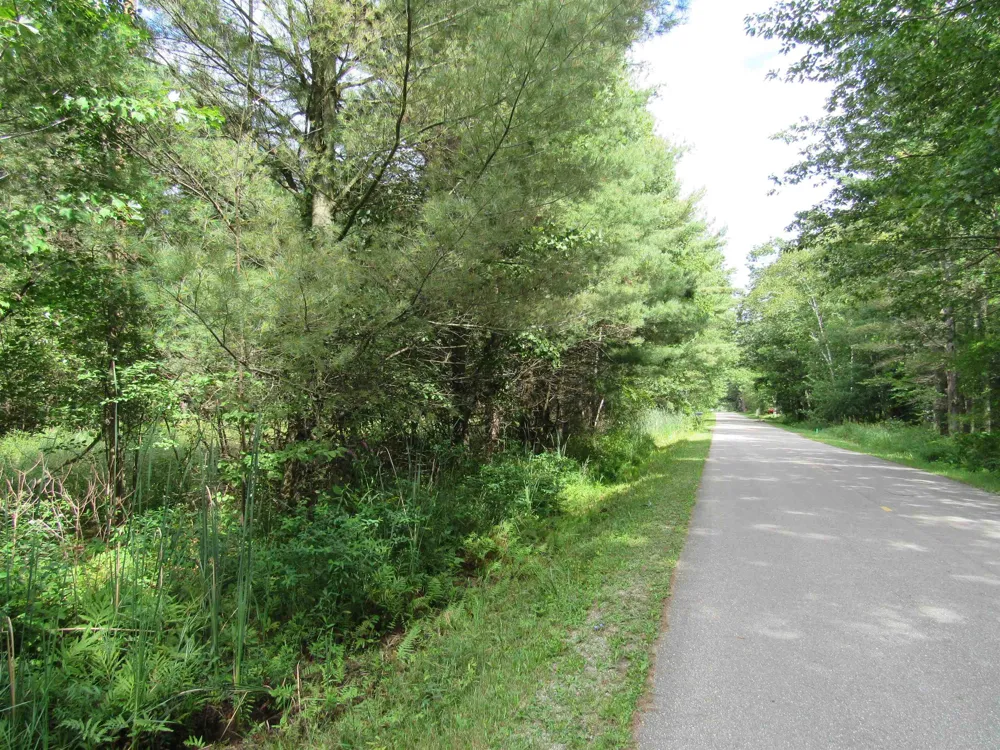 Duby Road Alabaster Township, MI 48763