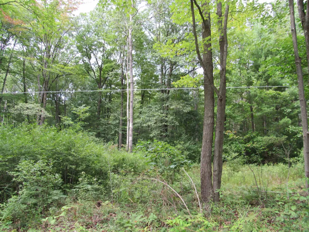 Duby Road Alabaster Township, MI 48763
