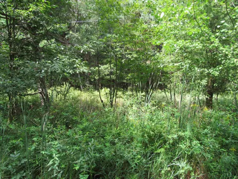 Duby Road