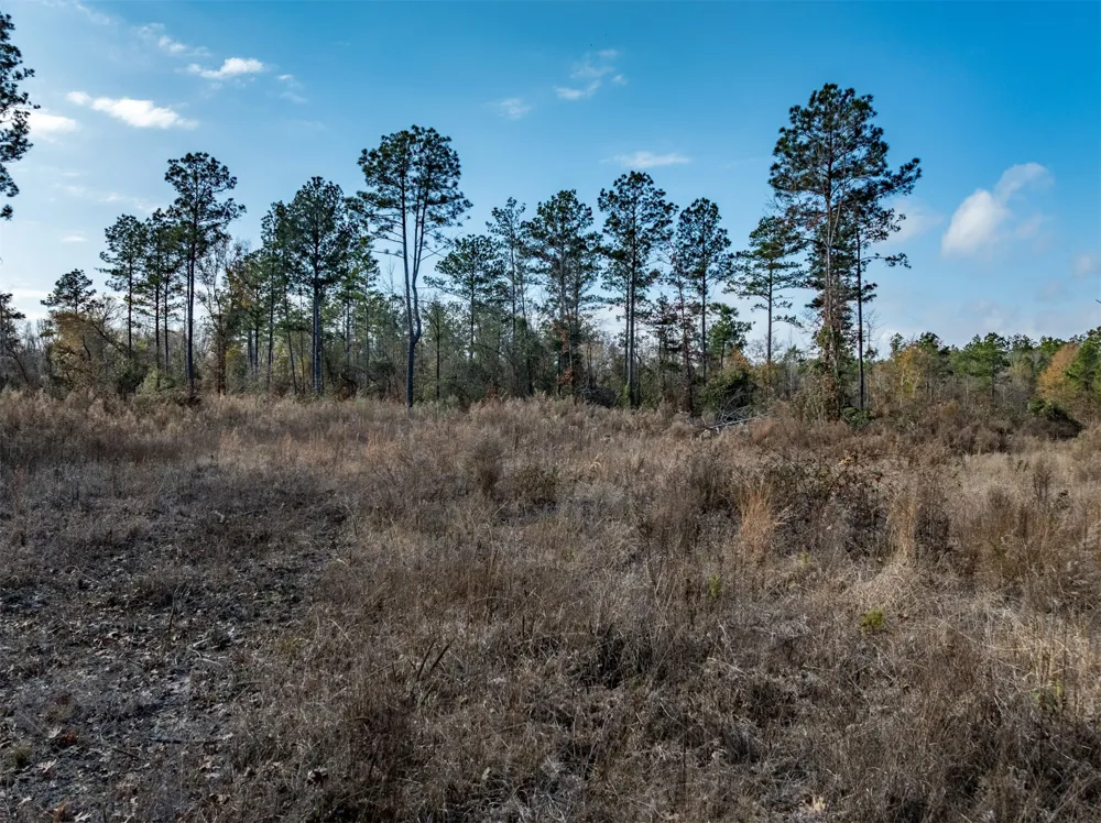 Tom Woodley Rd Marshall, TX 75672
