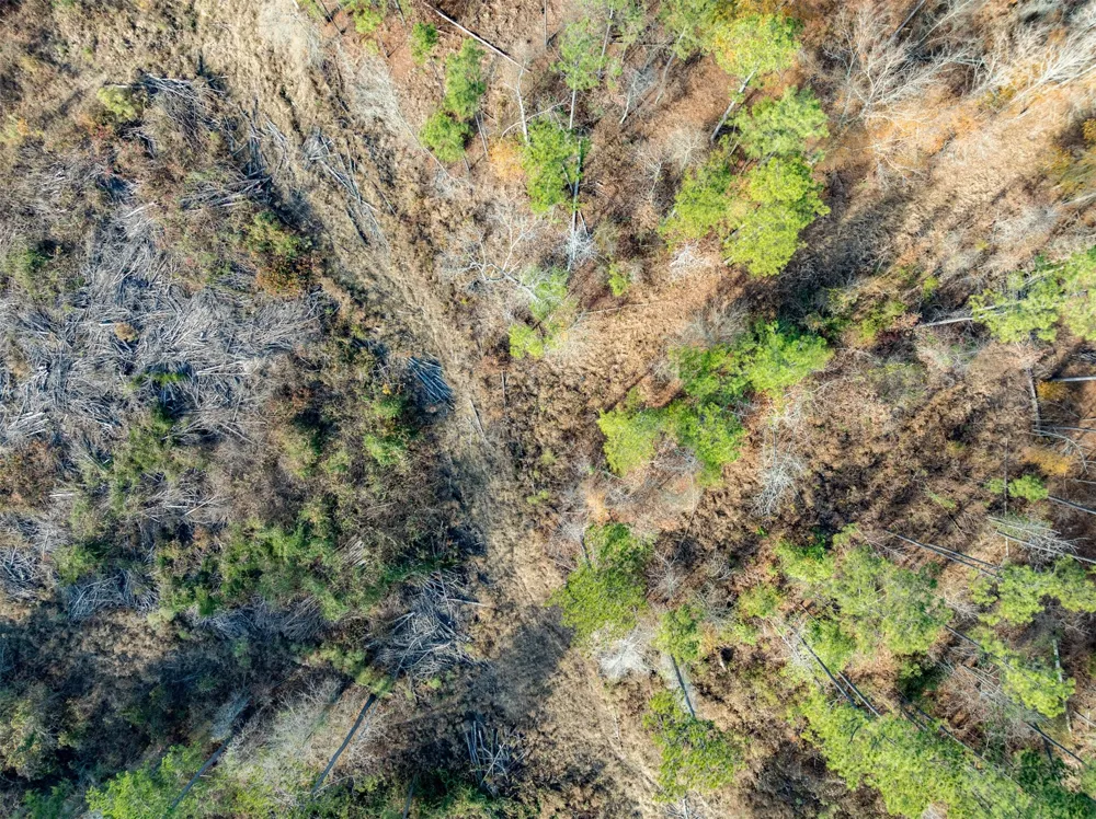 Tom Woodley Rd Marshall, TX 75672