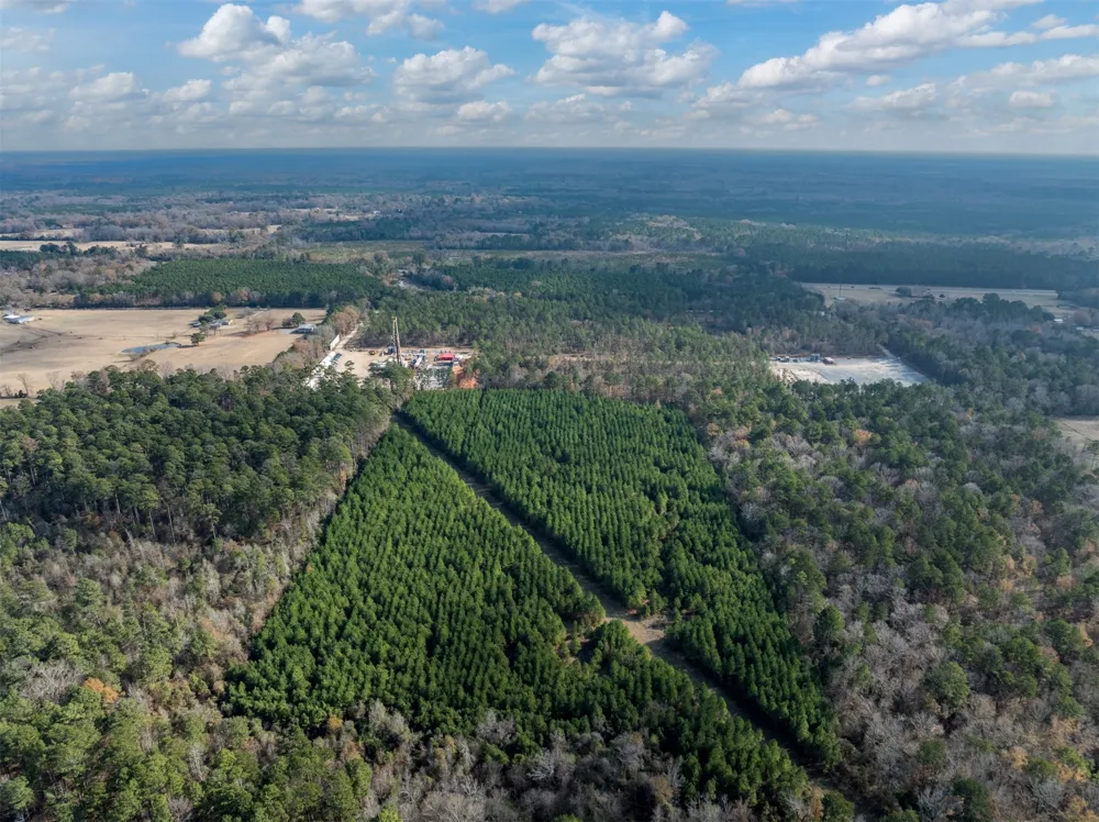 Tom Woodley Rd Marshall, TX 75672