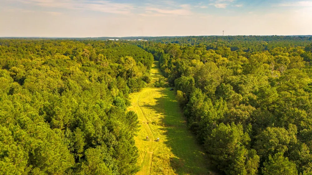 Garner Road Goodrich, TX 77335