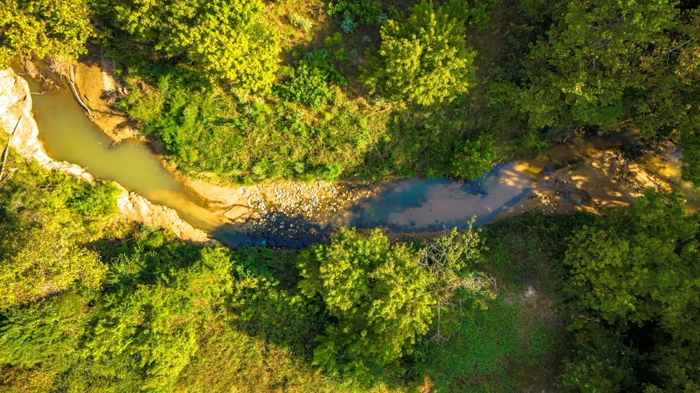 Garner Road Goodrich, TX 77335