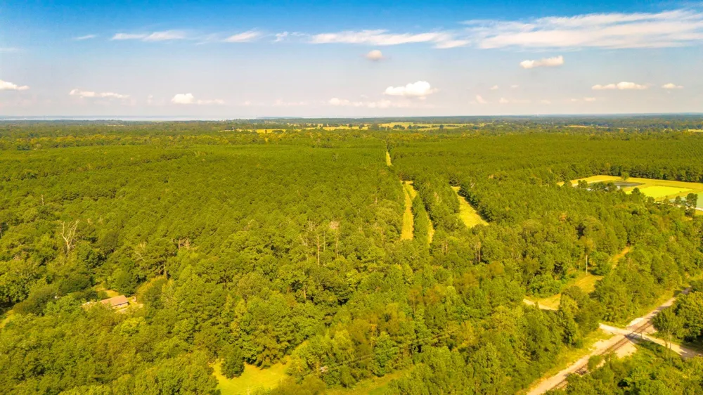 Garner Road Goodrich, TX 77335