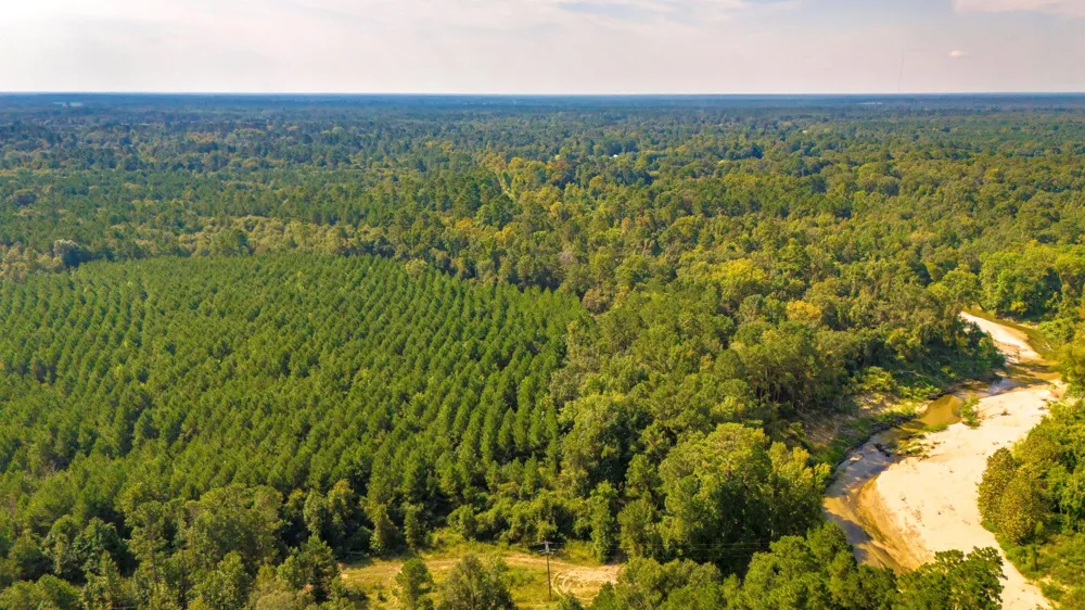 Garner Road Goodrich, TX 77335