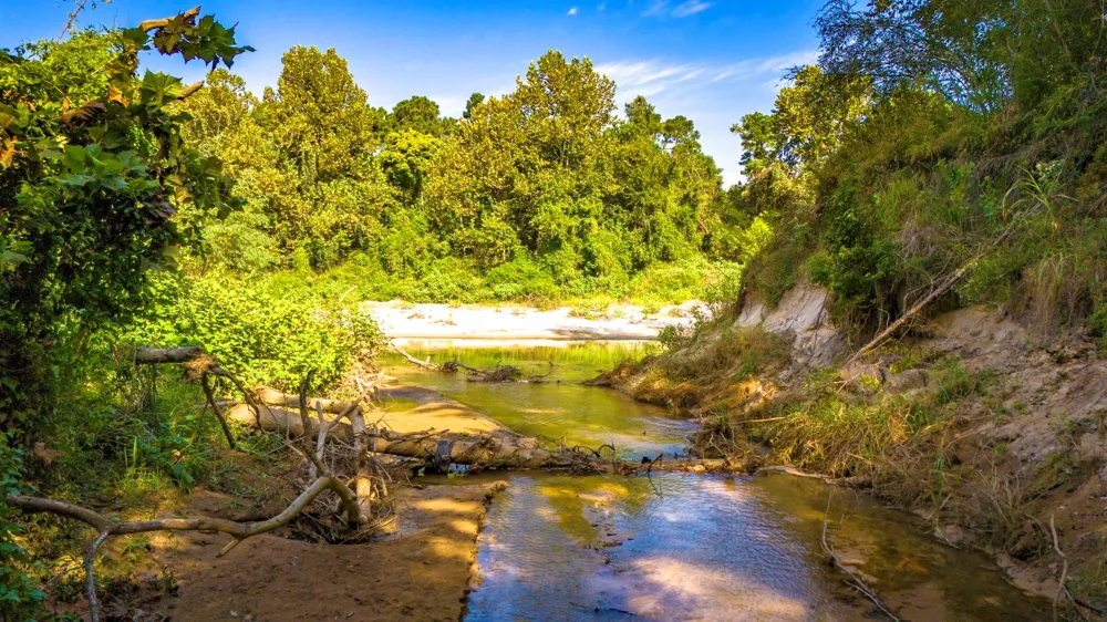 Garner Road Goodrich, TX 77335
