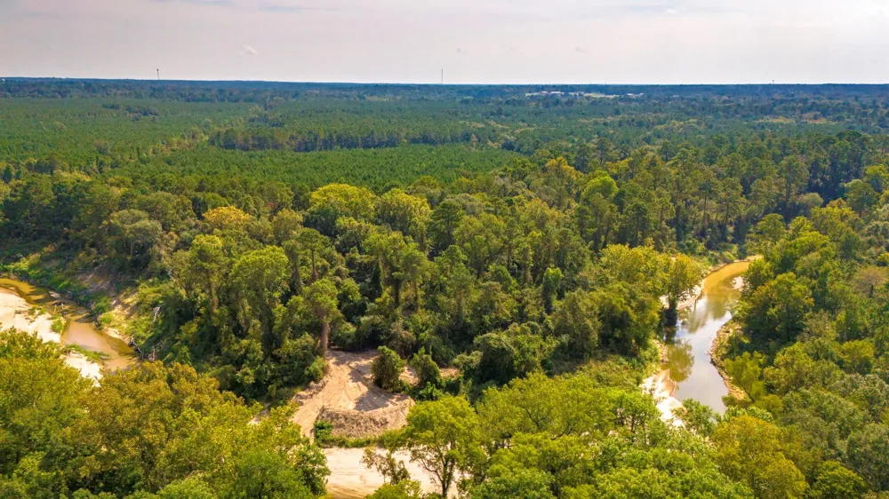 Garner Road Goodrich, TX 77335