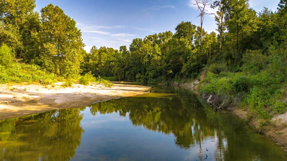Garner Road Goodrich, TX 77335