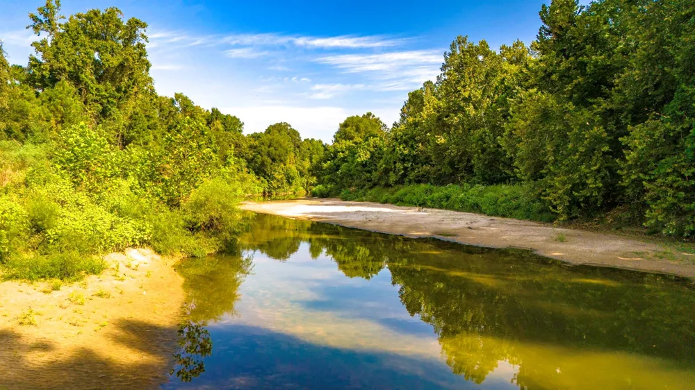 Garner Road Goodrich, TX 77335