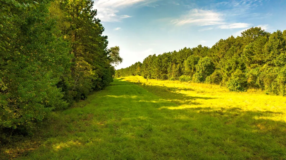 Garner Road Goodrich, TX 77335