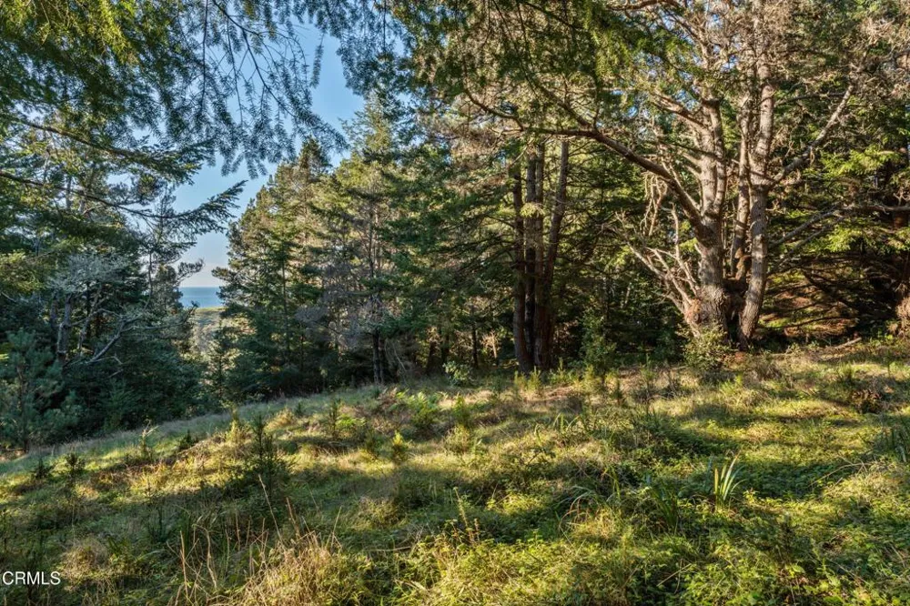4150 California 1 Albion, CA 95410