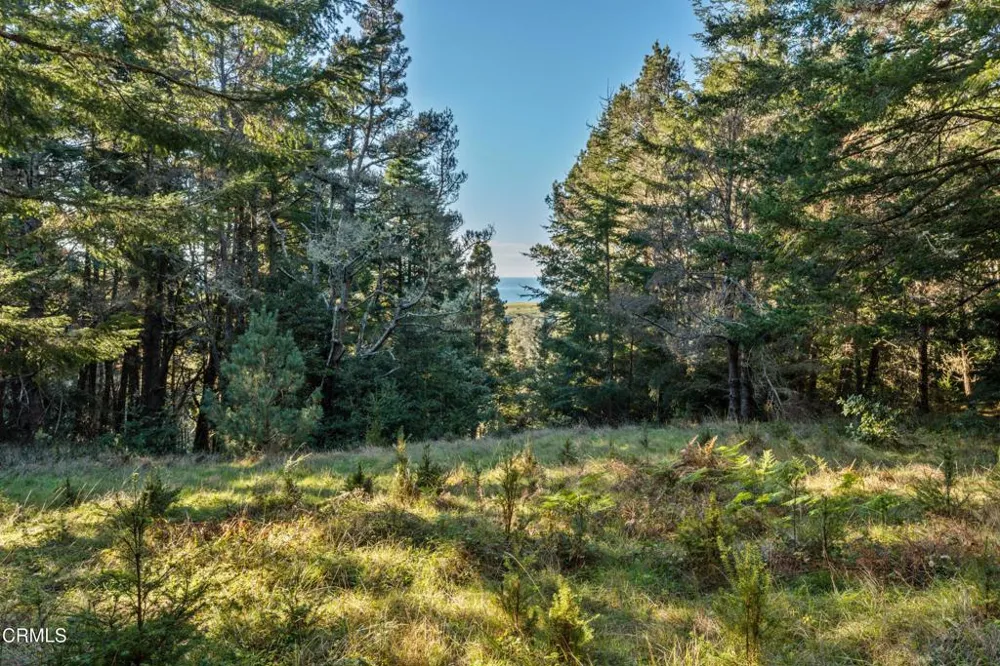 4150 California 1 Albion, CA 95410