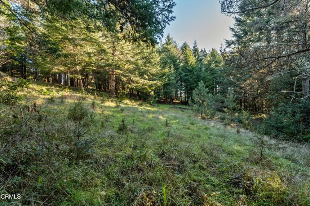 4150 California 1 Albion, CA 95410