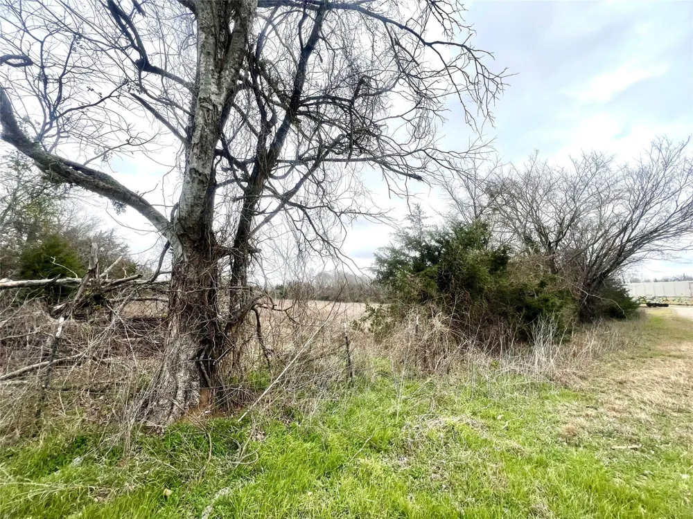 283 County Road Kosse, TX 76653