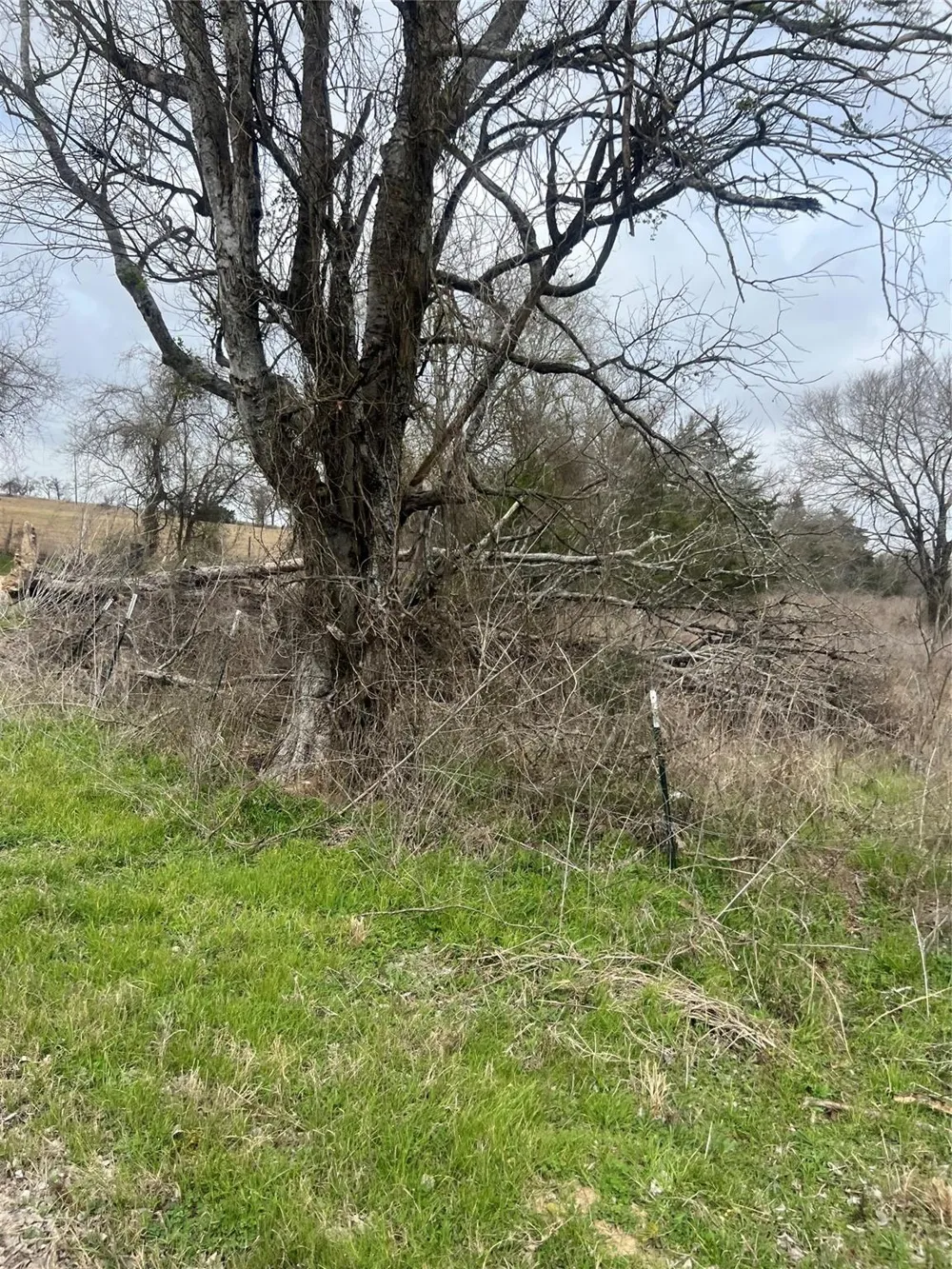 283 County Road Kosse, TX 76653