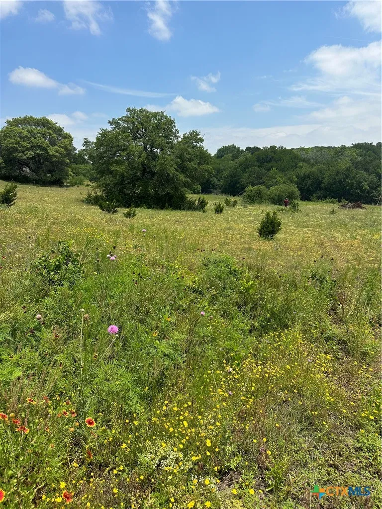 134 Yellowstone Drive Oglesby, TX 76561