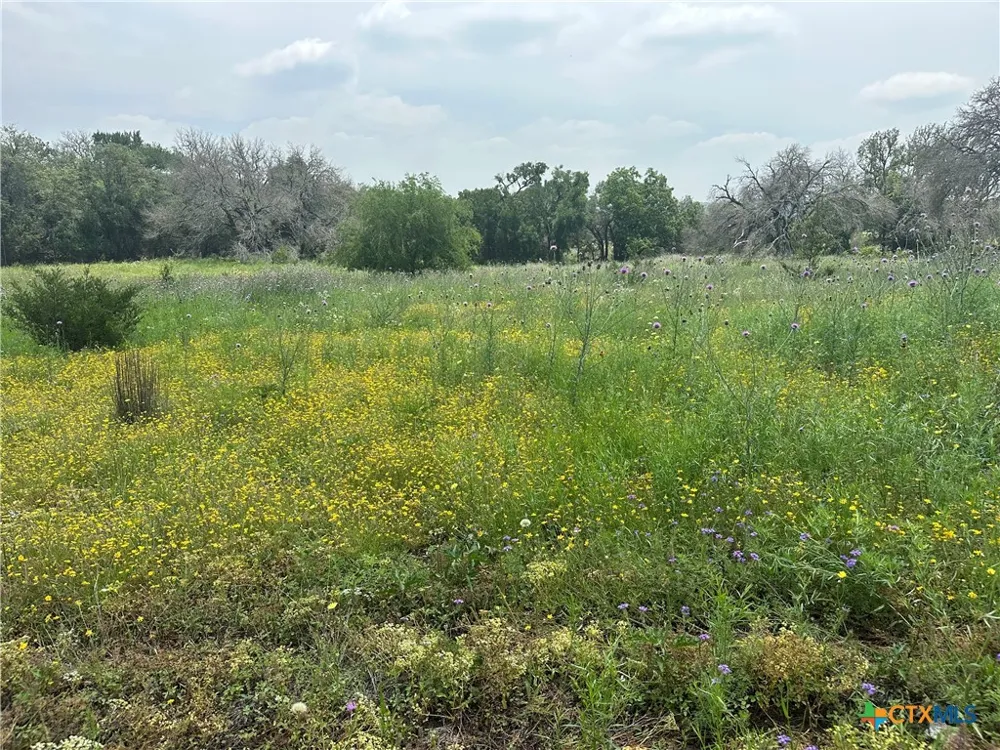 134 Yellowstone Drive Oglesby, TX 76561
