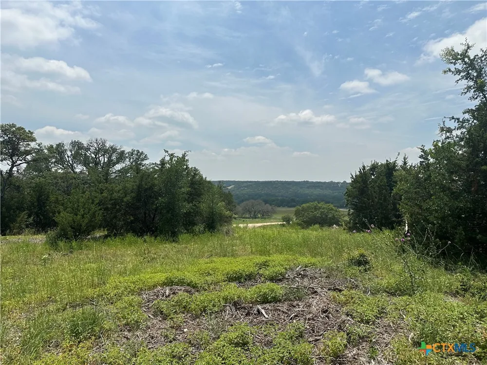 134 Yellowstone Drive Oglesby, TX 76561