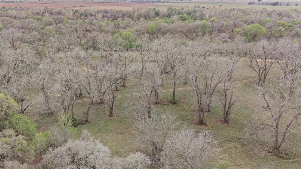 A23 CUNNINGHAM, JOHN C. , ACRES 29.0000 ROAD Smithville, TX 78957