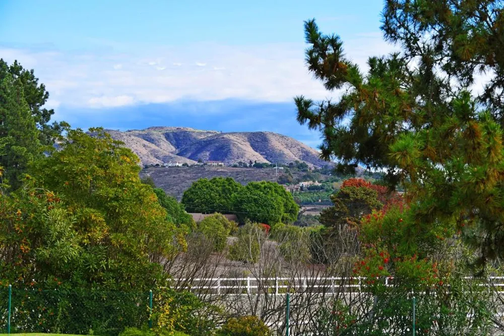6710 El Montevideo Rancho Santa Fe, CA 92067