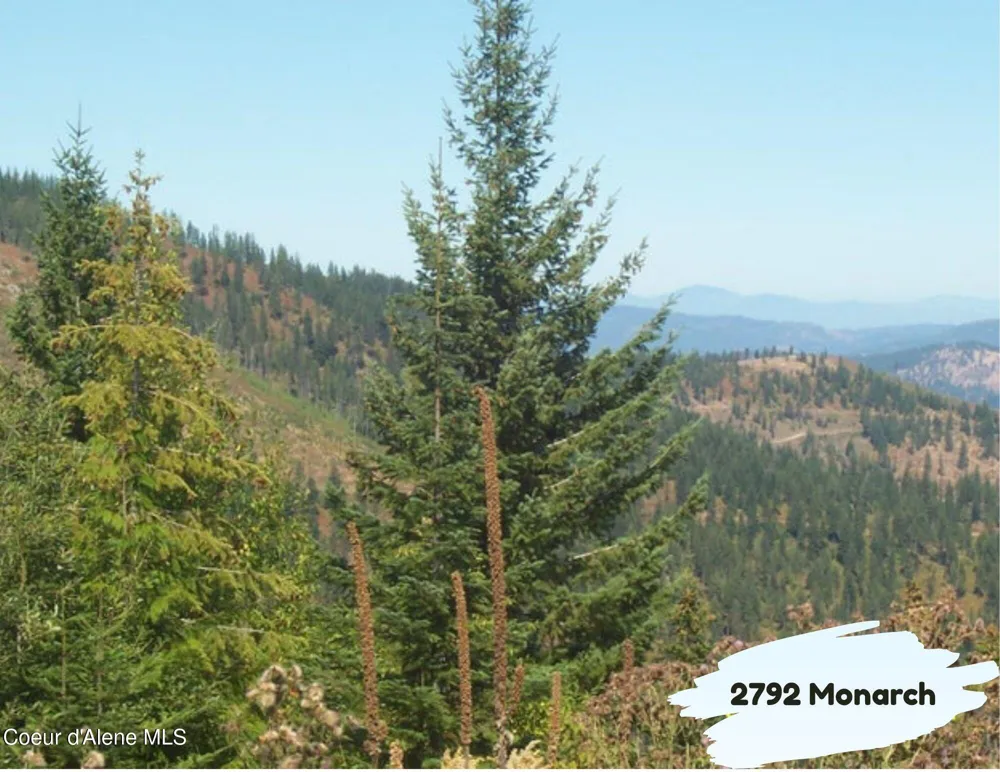 2792 Monarch Road St. Maries, ID 83861