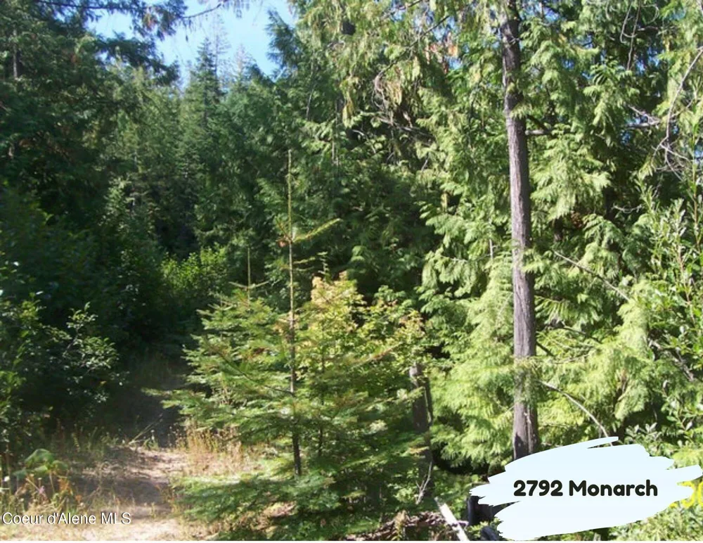 2792 Monarch Road St. Maries, ID 83861