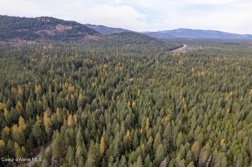 LOT 3 Peak Road Spirit Lake, ID 83869