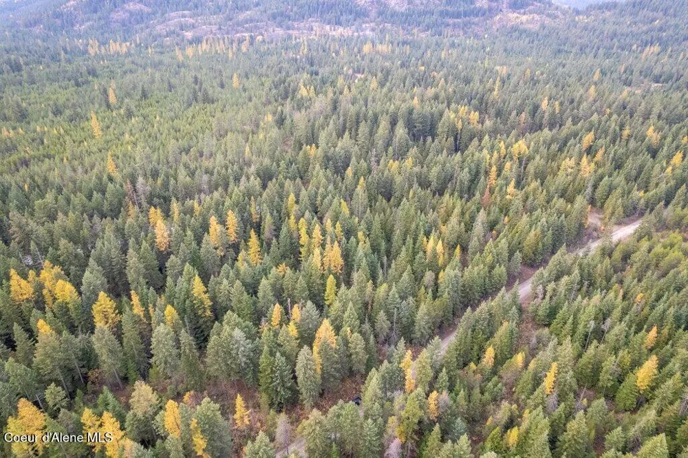 LOT 3 Peak Road Spirit Lake, ID 83869