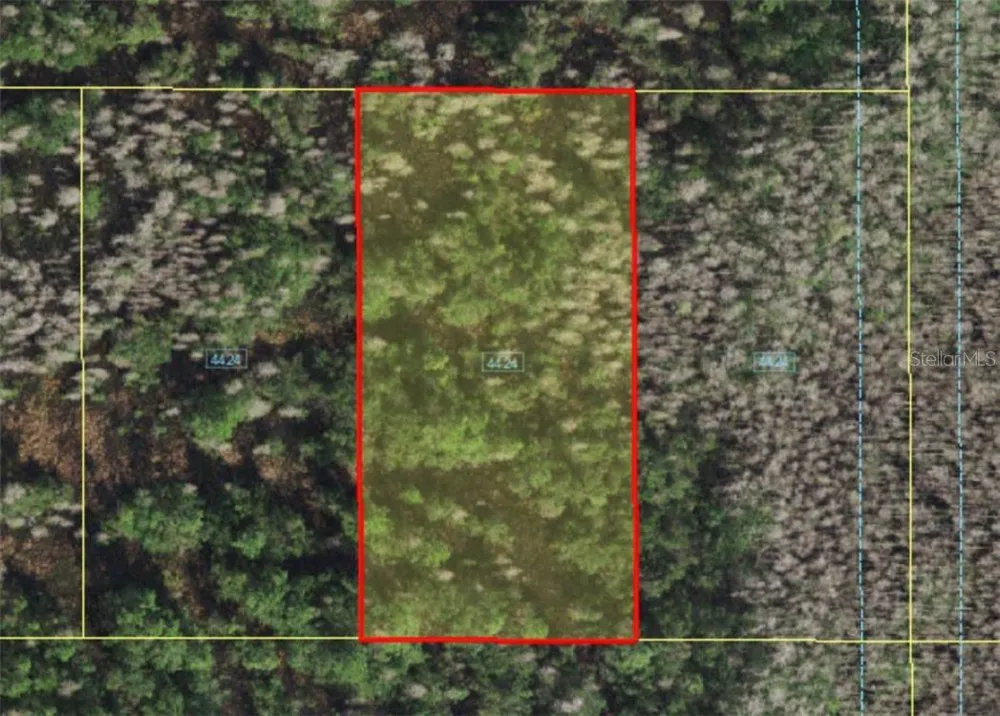 HOLOPAW GROVES ROAD St Cloud, FL 34773