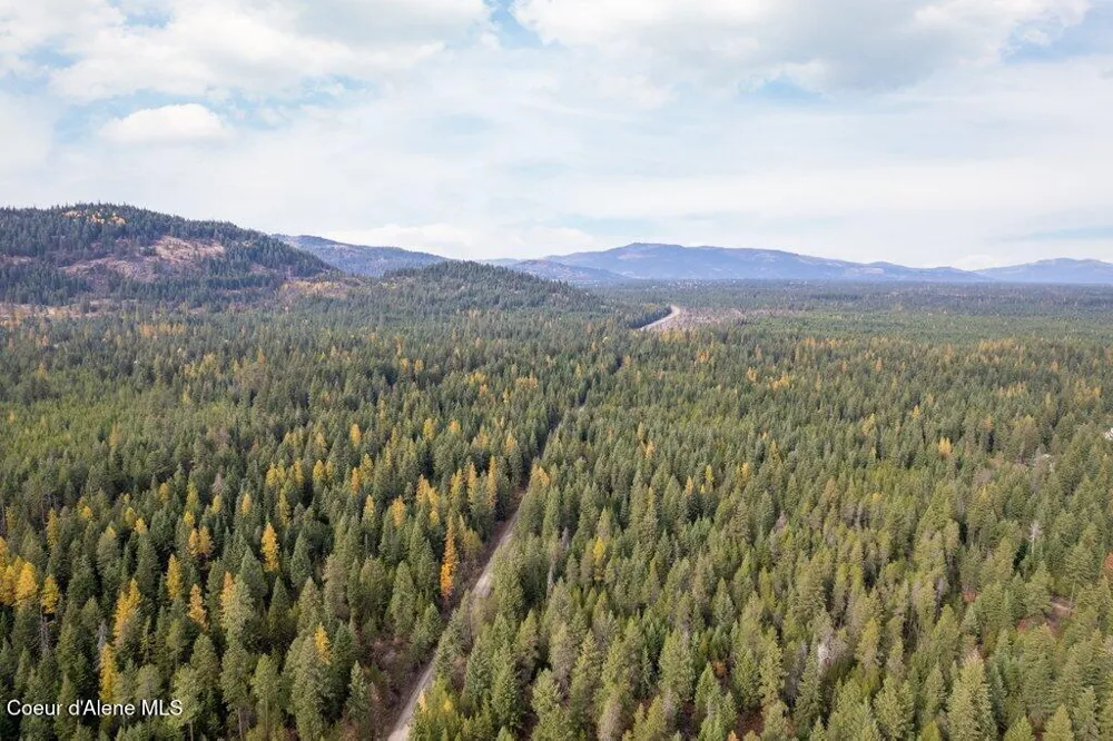 LOT 4 Peak Road Spirit Lake, ID 83869