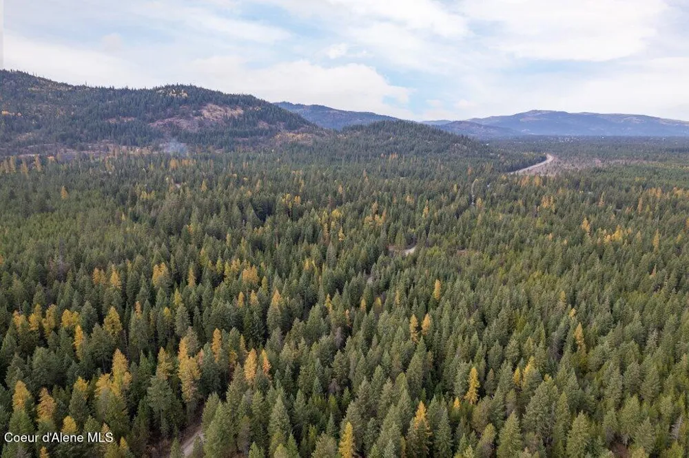 LOT 4 Peak Road Spirit Lake, ID 83869