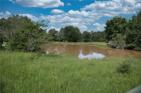 12538 S E B Watson County Road SE