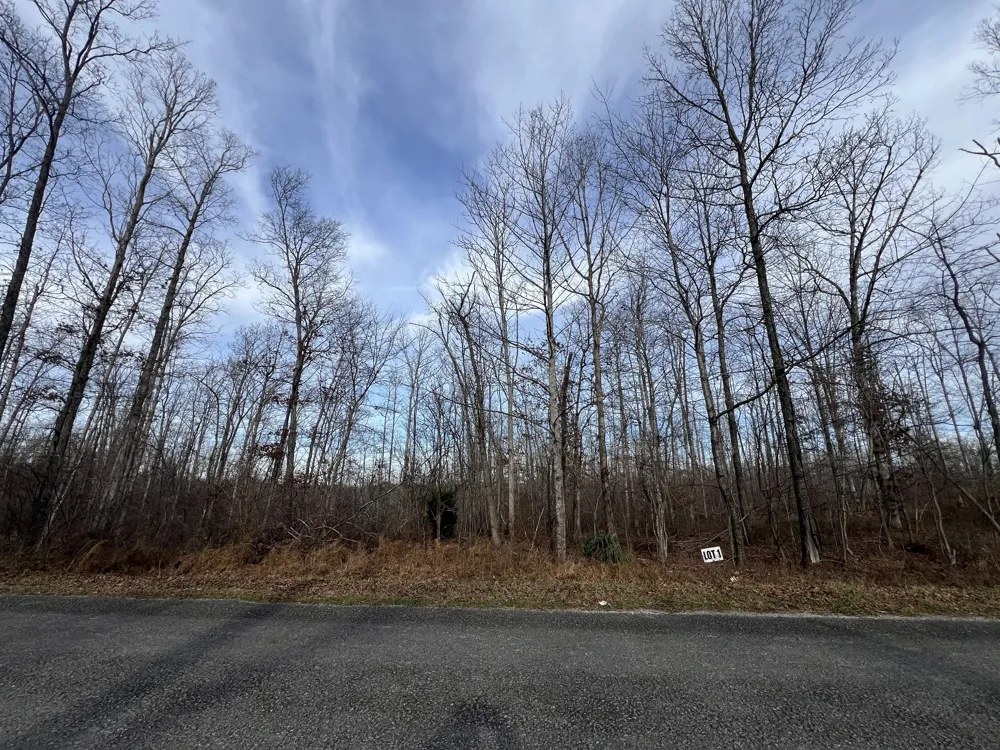 1 Slaughter Rd Primm Springs, TN 38476