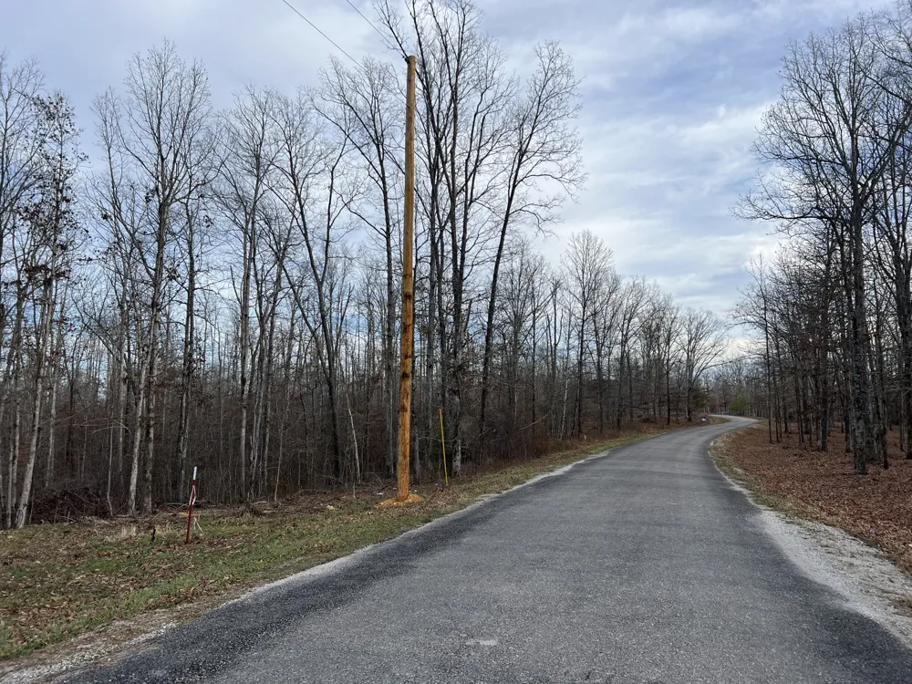 1 Slaughter Rd Primm Springs, TN 38476