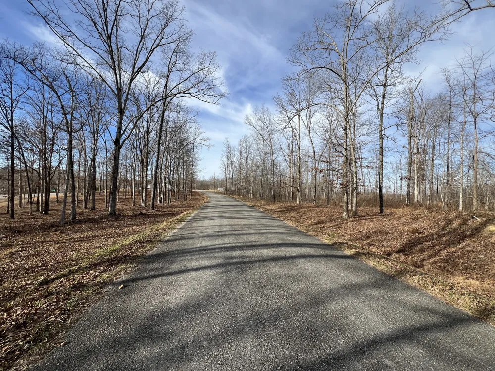 1 Slaughter Rd Primm Springs, TN 38476