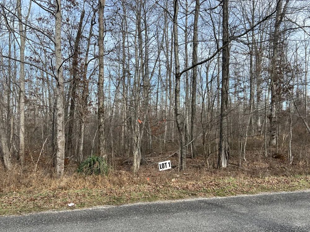 1 Slaughter Rd Primm Springs, TN 38476